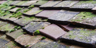 Southminster roof repair costs